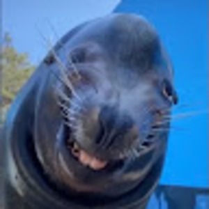 Meet your Posher, Teddy